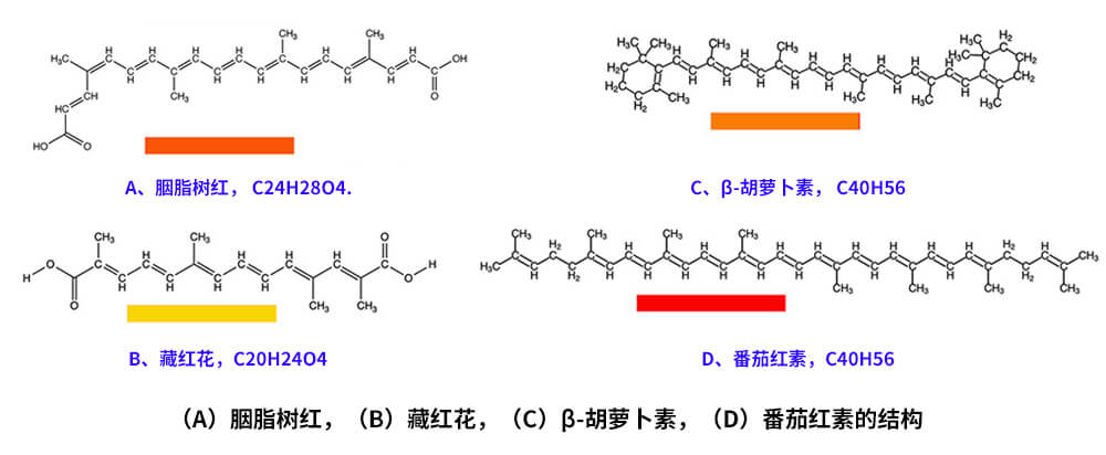 藏紅花、胭脂樹紅、β-胡蘿卜素、番茄紅素的化學結構